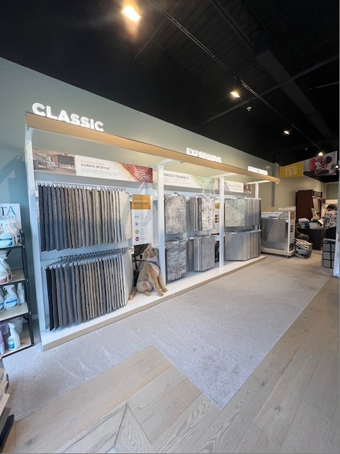 carpet flooring in flooring store in rehoboth beach